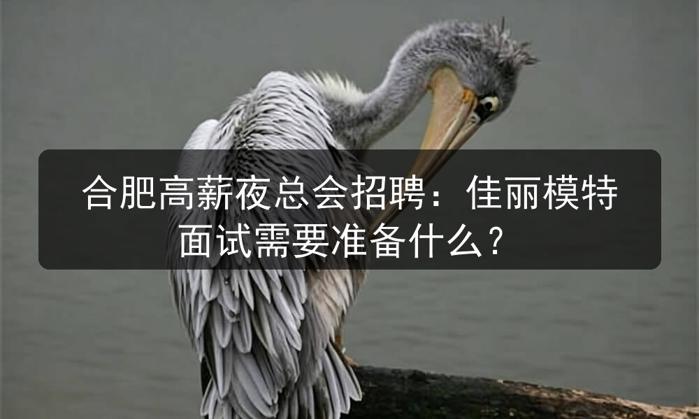 合肥高薪夜总会招聘：佳丽模特面试需要准备什么？
