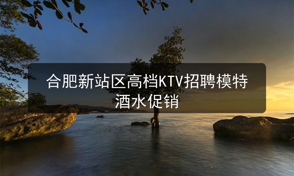 合肥新站区高档KTV招聘模特酒水促销