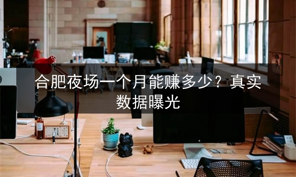 合肥夜场一个月能赚多少？真实数据曝光