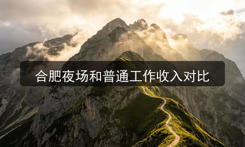 合肥夜场和普通工作收入对比